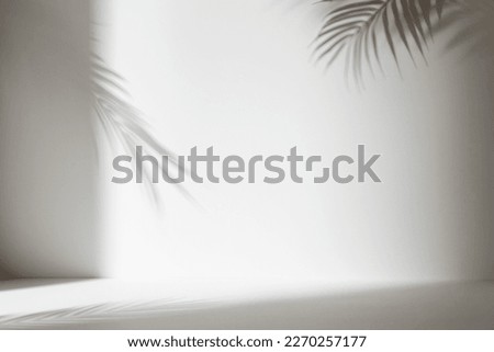 Monotone background wall with palm tree leaf shadows
