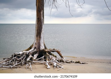 Monroe, Michigan, June 2022: Beach Scene At Sterling State Park                               