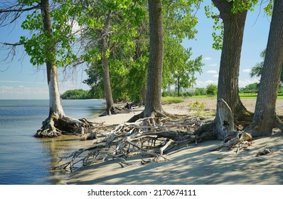 Monroe, Michigan, June 2022: Beach Scene At Sterling State Park                               