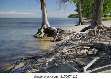 Monroe, Michigan, June 2022: Beach Scene At Sterling State Park                               