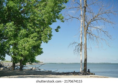 Monroe, Michigan, June 2022: Beach Scene At Sterling State Park                               