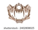 Monster skull with fangs isolated on white background with clipping path