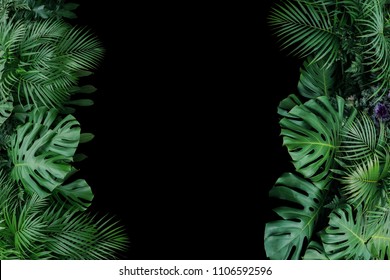 Monstera, Fern, And Palm Leaves Tropical Foliage Plant Bush Nature Frame On Black Background.