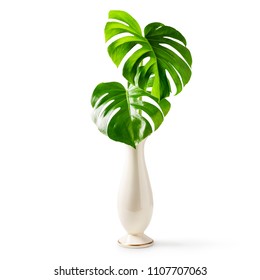 Monstera Leaf, Swiss Cheese Tropical Plant In Porcelain Vase Isolated On White Background Clipping Path Included. Summer Feeling And Inspiration