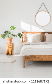 Monstera plant on a tree trunk nightstand and a round mirror above the bed, on a white wall in a sunlit bedroom interior with wooden furniture