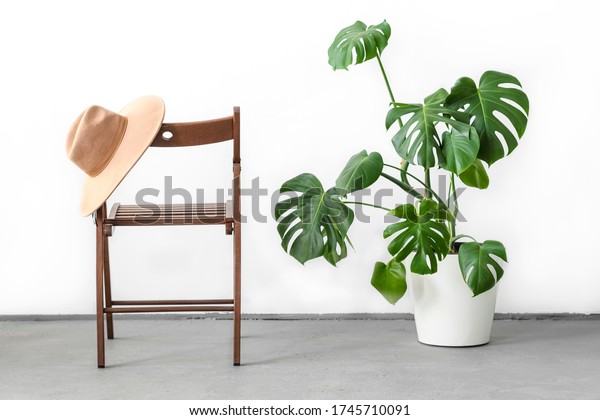 Monstera\
or Swiss Cheese plant in white flower pot standing on wooden stand\
and Camel color hat on a wooden chair on a light background. Modern\
minimal creative home decor concept, garden\
room