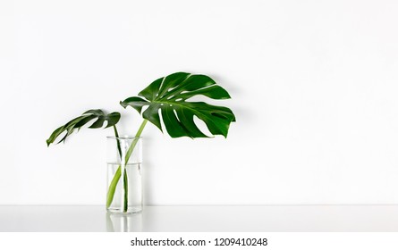 Leafs Table Images Stock Photos Vectors Shutterstock