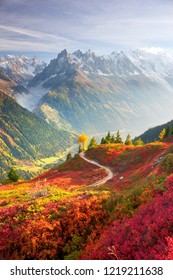 Mont Blanc Chamonix autumn - picturesque meadows of highland berry bushes are fantastically beautiful after the first frosts against the background of the steep peaks of the Alps.