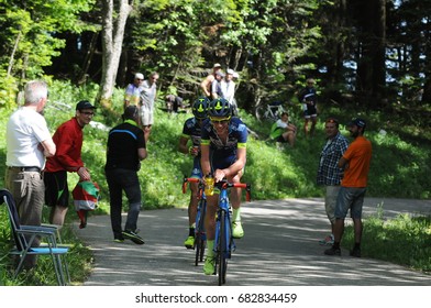 MONT DU CHAT, FRANCE - JUNE 9:  Riders Ascend The HC Category Climb In Stage 6 Of The Critérium Du Dauphiné On June 9, 2017 On The Mont Du Chat, France.