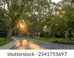 The Mont Royal city street in Montreal Canada