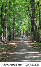 Mont Saint Bruno, Quebec - September 7, 2018 - Vertical Forest Landscape, With A Older Couple Walking Down A Path In The Distance