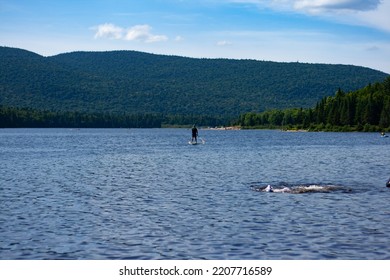 Mont Tremblant, Quiet Beach In A Beautiful National Park In Perfect Harmony With Nature, Enjoying The Summer And The Sun