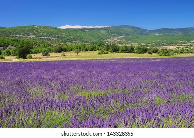 Mont Ventoux