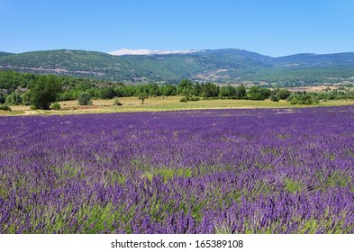 Mont Ventoux 