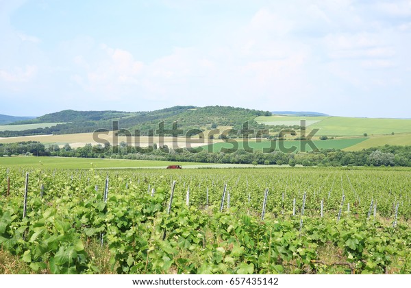 Montagne De Reims Regional Natural Park Stock Photo Edit