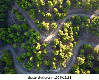 Montain Andalusia Malaga Montes Arbol Tree Pine Summer To Stay Up All Night Aerial Footage Drone Nature Green Rute 90 Degrees