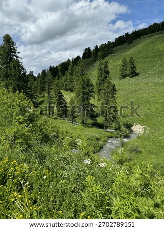Montain view with clouds and trees