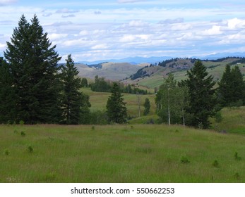 Montana Landscape