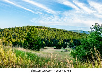 Montana Landscape with Horses and Big Sky in Whitefish Montana USA