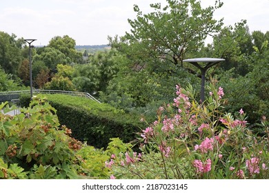 Montauban, France - 07 20 2022 : Plants Garden, Town Of Montauban, Department Of Tarn Et Garonne, France
