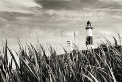 Montauk Lighthouse And Sea Grass. Black And White