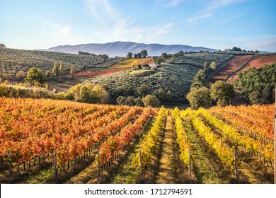 Montefalco's Sagrantino vineyards, Umbria, Italy - Shutterstock ID 1712794591
