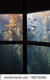 Monterey Bay Aquarium