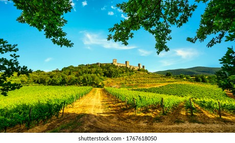 Monteriggioni medieval fortified village and vineyards, route of the via francigena, Siena, Tuscany. Italy Europe.