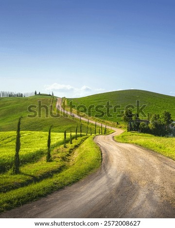 Monteroni d'Arbia, route of the via Francigena. Winding road, Fields and trees. Siena province, Tuscany. Italy, Europe.