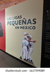 Monterrey, Nuevo Leon, Mexico - July 11, 2019: Entrance To Exhibit On Youth Baseball At The Mexican Professional Baseball Hall Of Fame