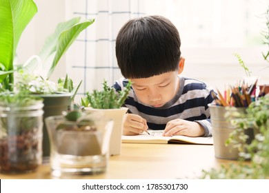 Montessori, Homeschool And Nature Education Concept. Young Asian Boy Studying Plants, Drawing Cactus And Journaling In Notebook On Wooden Table Surrounded By Houseplants At Home. Home Based Learning.