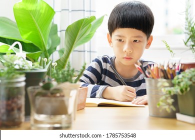 Montessori Sensory Skills & Nature Education. Cute Young Asian Child Look At Plants With Concentration And Observation. He Draw And Journal Development Of Succulents And Cactus. Home Based Learning.