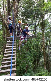 Monteverde, Costa Rica - May 29 : Thrill Seeking Tourists Swinging From A Very Large Tree In Costa Rica . May 29 2016, Monteverde, Costa Rica.