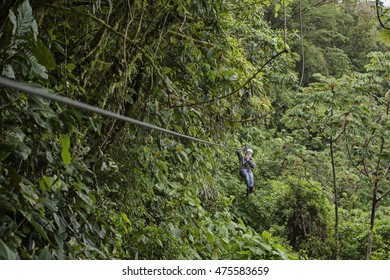 MONTEVERDE, COSTA RICA - November 25 2008: Asian Playing Zipline In The Canopy In Monteverde, Costa Rica.