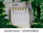 Monthly desk calendar for JUNE 2025 on an office background. 