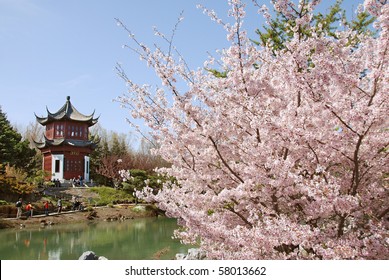 Montreal Botanical Garden