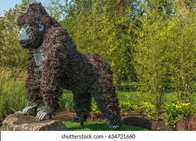 Montreal Botanical Garden