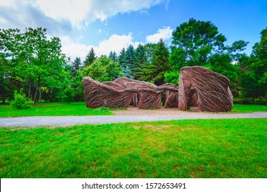 Patrick Dougherty