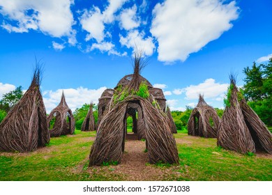 Patrick Dougherty