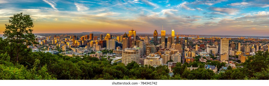 Montreal Downtown View