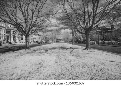 Monument Avenue In Richmond Virginia