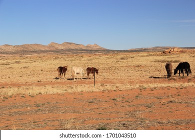 Monument Valley Desert Landscape Arizona Native Stock Photo (Edit Now ...