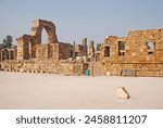 Monuments at Qutub Minar Complex New Delhi, India