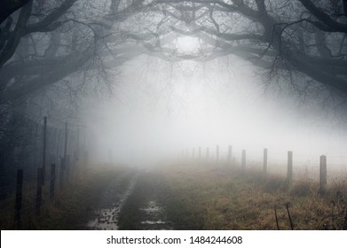 A moody artistic double exposure of an eerie path in the countryside next to woodland on a cold spooky, foggy day. - Shutterstock ID 1484244608