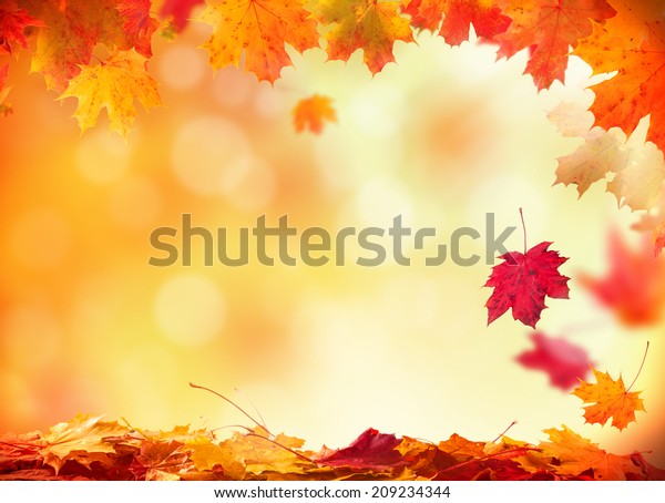木の板に落ち葉を持つ ムーディーな秋の背景 の写真素材 今すぐ編集