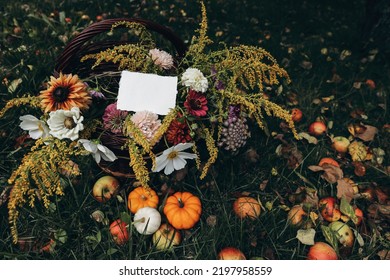 Moody autumn garden harvest composition. Wicker basket with colorful cosmos, zonnia flowers. Pumpkins, apples and fall leaves on grass. Blank greeting card, invitation mockup. Thanksgiving concept. - Shutterstock ID 2197958559