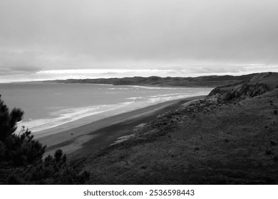 Moody black-and-white coastal landscape of Raglan, New Zealand, featuring a rugged beach and rolling waves under an overcast sky. Ideal for nature and travel themes. - Powered by Shutterstock