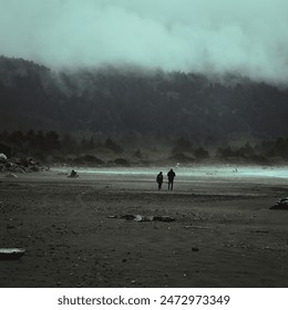 Moody Coastal Highway 101 Beach - Powered by Shutterstock