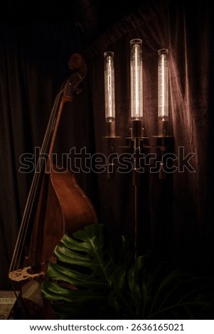 A moody corner with a double bass resting beside a tall, vintage-style lamp with glowing filament bulbs and a large monstera leaf in the foreground, set against dark velvet curtains