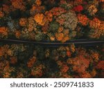 Moody Fall Vibes Aerial Birds Eye View of Paved Road Through Colorful Forest of Fall Foliage Trees in Autumn Season